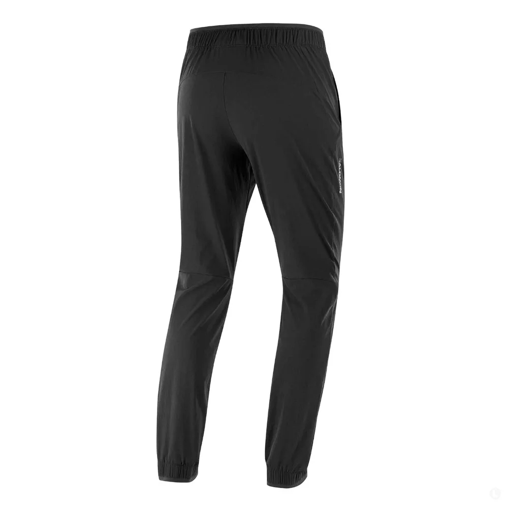 Salomon  брюки мужские Wayfarer Ease/LC2209700/L, deep black