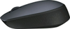 Мышка беспроводная USB Logitech M170 (910-004642), Черный