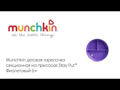 Тарелка Munchkin детская на присоске секционная Stay Putс 6м+ фиолетовая