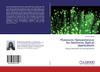 Plasmonic Nanoantennas for Nonlinear Optical Applications. Design,Fabrication and Characterization