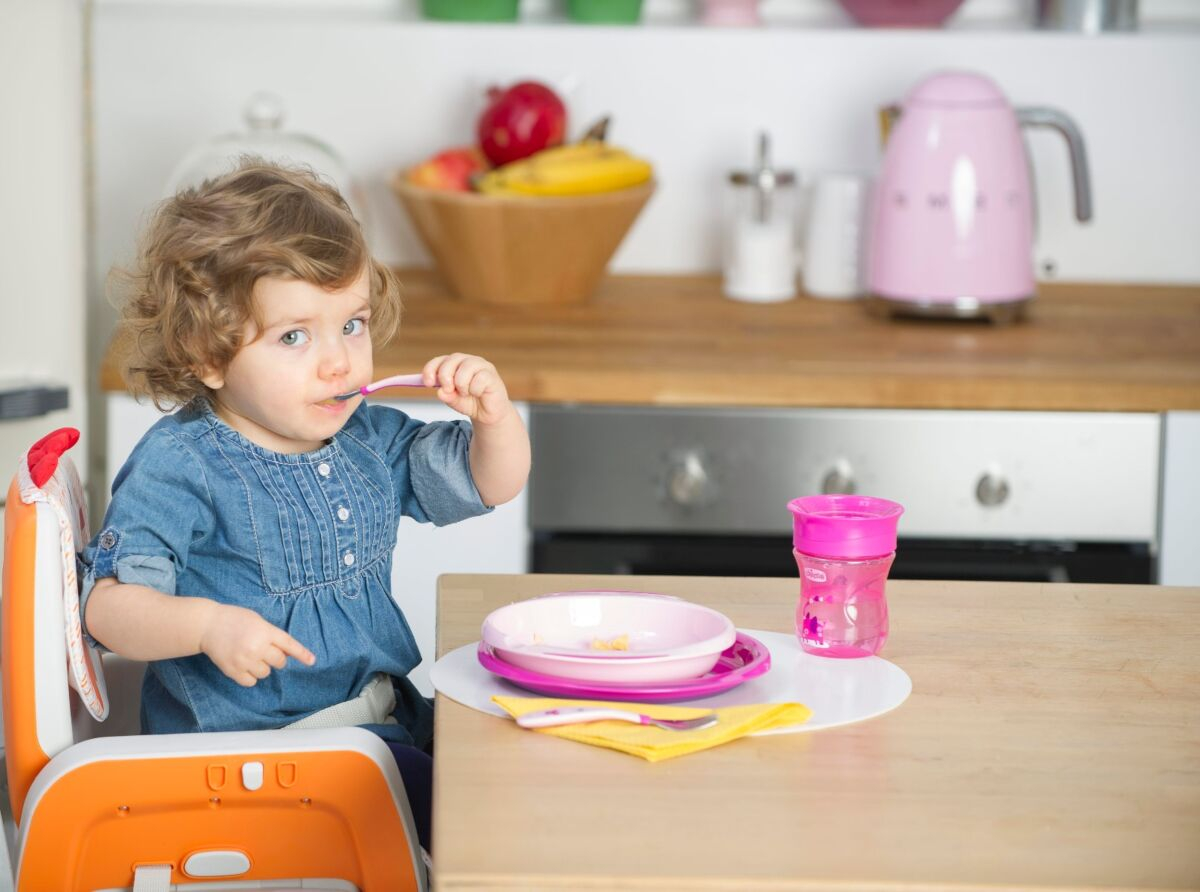 Набор Chicco MetalCutlery (ложка,вилка), 18м+, розовый