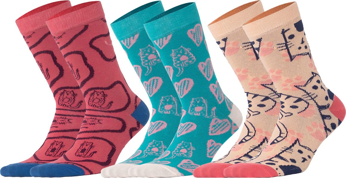 Набор женских носков Biggdesign с изображением кошек, 5 пар.