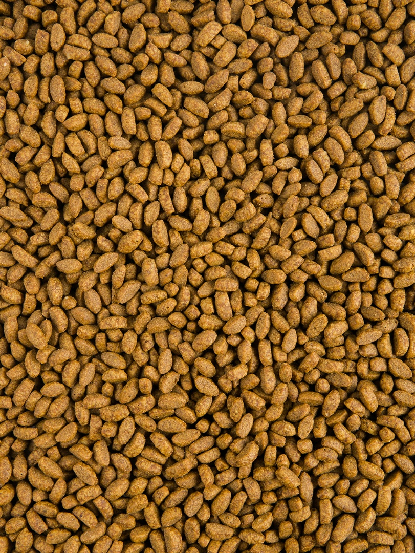 ProРацион Delicana КастСтер Кролик 0.4 кг