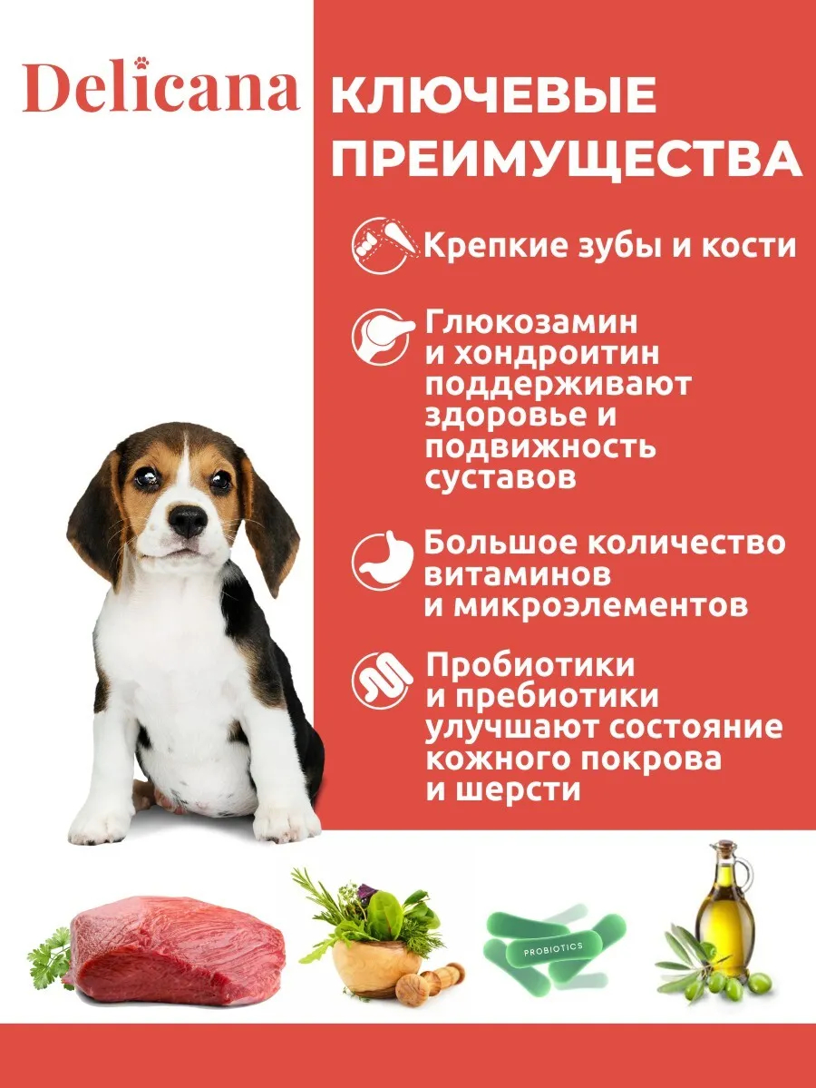 ProРацион Delicana Корм сухой для щенков средних пород Говядина 1.5 кг