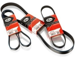 Gates ремень 7PK1550