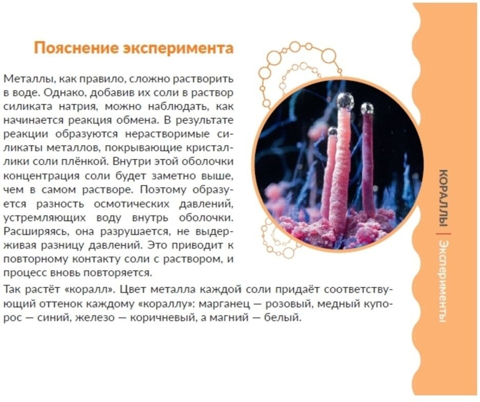 Набор для исследований Трюки науки Лаборатория Кораллов Z010