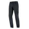 Salomon  брюки мужские Wayfarer Warm/LC2103000/46/R, deep black